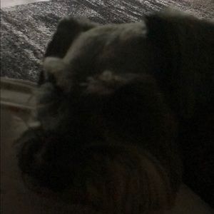 Meet your Posher, Amber